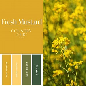 We love Fresh Mustard with many colors in our collection, but this palette is the picture of perfection featuring this mustard yellow with the greens of nature! Fresh Mustard is a bold, retro, mustard yellow that compliments mid century modern furniture fittingly. Fresh Mustard pairs excellently with Wanderess and Starstruck, for example. If you're looking for a happy color, this is one to try. | Country Chic Paint