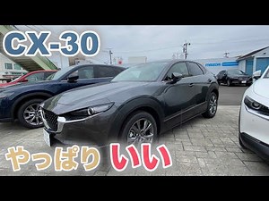 【MAZDA CX-30】曇り空のマシーングレープレミアムメタリック！