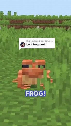 Minecraft Frog Gameplay: Hunting Diamonds and Epic Adventures