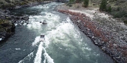 Salmon River Redd Surveys