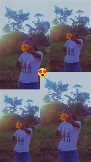 Sunflower 🌞