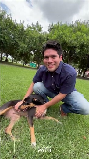 ¿Y tu porque aprendiste a programar?