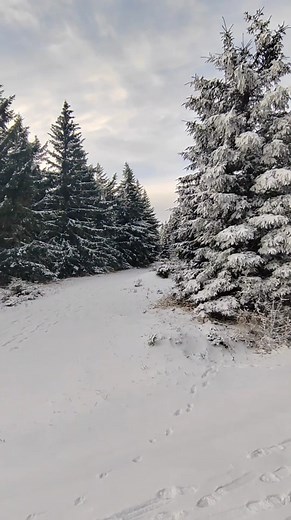 #krkonose #karkonosze #milujemehory #krasyhor #beautiful #relax #ceskehory #hory#góry #moutains #parknarodowy #sunnyday#slunce #vyhled #prochazka #krkonoseeu #krnap #zal #zlatak #medvědín #medvedin#západslunce #snih #snouw | Alena Lukešová