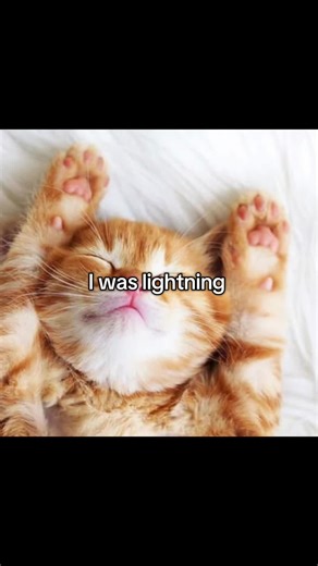 #kitten #bubble #bath | kitten