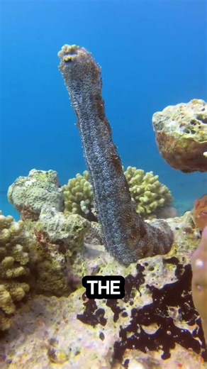 You’ll Regret Watching These 4 Terrifying Insects 😱 #TerrifyingInsects #ScaryBugs