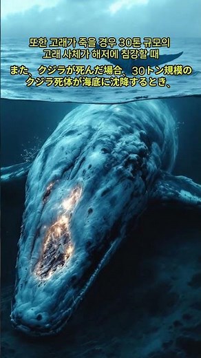 지구에서 고래는 왜 정말 중요한가?(地球でクジラはなぜ本当に重要なのか？)#대왕고래#혹등고래#고래박사#고래이야기#밍크고래#돌고래 #해양오염#미세플라스틱#고래고기#고래박물관#울주암각화