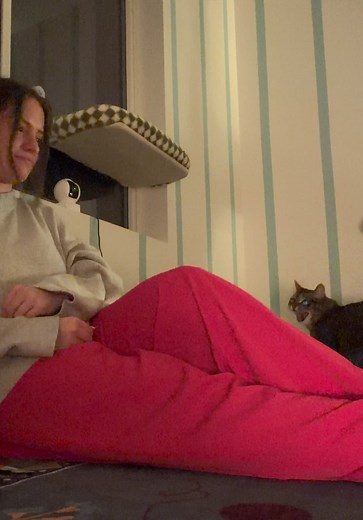 Fostering a Feral Cat: Day 60 with the Spiciest Cat