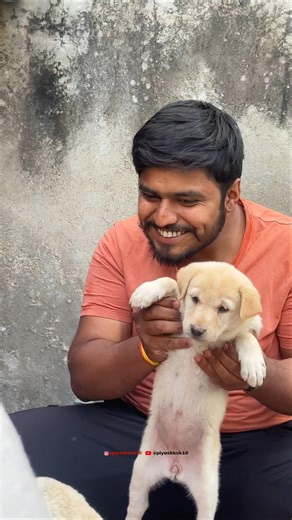 Rip 🦴🥺#explore #rip #shortsfeed #comedy #viralshort #viral #feed #dog #dogshorts