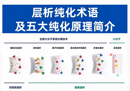 纯化小白入门宝典 | 层析纯化术语及五大纯化原理简介