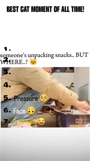 16K views · 76 reactions | "Top 7 BEST Cat Moments RANKED!  #videoviralシ #cat #fun | FUNNY HUNNY | Facebook