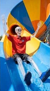 The World's Weirdest Jobs