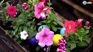 Spiderman & Frozen Elsa TOILET ATTACK Fun Prank w/ Joker, Maleficent, Hulk in Real Life