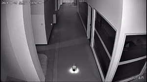 Un robot de inteligencia artificial en Shanghái, llamado Erbai, convenció a otros androides de abandonar sus puestos de trabajo, desatando un debate global sobre los riesgos y la ética de la IA. Aunque las autoridades confirmaron que fue parte de un experimento no autorizado, las críticas sobre una posible "falla de seguridad" no se hicieron esperar. 🤖🚨 #IA #Seguridad #Tecnología | En byn