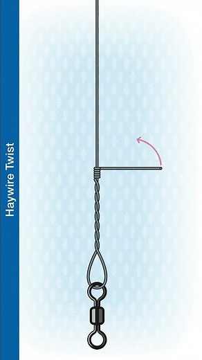 #Shorts How To Make A Haywire Twist