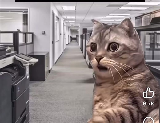 22 reactions | When you find out about triangle paper after you’ve already cut and pieced 10,237 half-square triangles… It’s that moment when your eye twitches, your rotary cutter sighs, and you realize you could’ve saved three weeks, two Band-Aids, and a small piece of your soul. | The Knotted Thread Inc. | Facebook