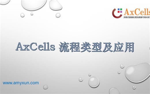 AxCells 流程类型及应用