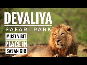 Devaliya Safari Park Bus Journey All details | Gir National park, Home Of Asiatic Lions In India