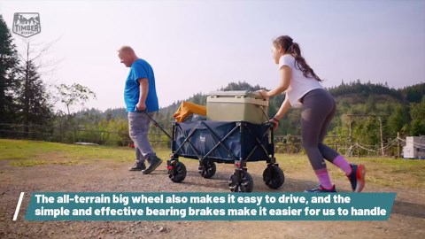 Timber Ridge Outdoor Collapsible Wagon with Brakes Utility Folding Cart Heavy Duty All Terrain Wheels for Shopping Camping Garden with Side Bag and Cup Holders, Blue