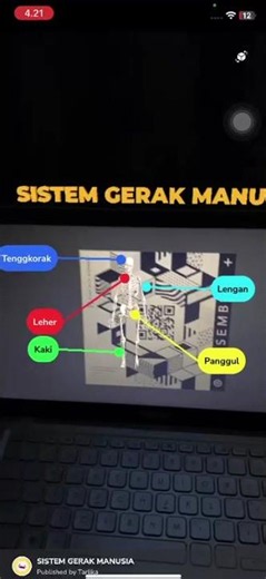 VIDEO 3D SISTEM GERAK MANUSIA