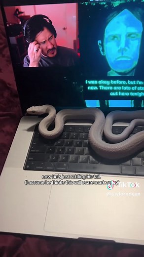 please why does he hate him I’m so confused #pets #animals #snakes #reptiles #silly
