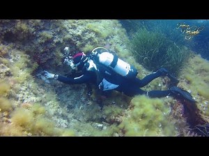Wetsuit Underwater Fetish