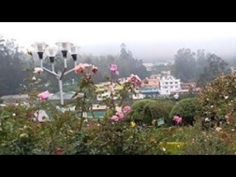 Song Live✨️❤️☺️#shorts #live #shortsfeed #livestream #trending #youtubelive #youtubeshorts #viral