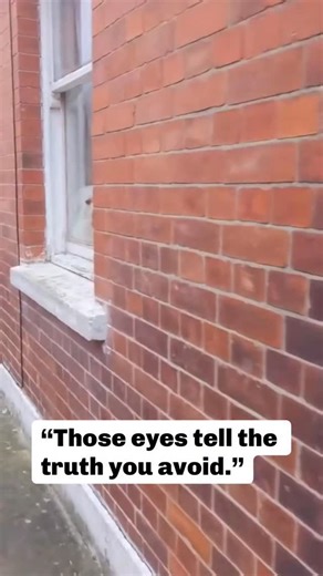 Jack-Allen Walker on Instagram: "People love to say “my dog judges me with those eyes.” But the truth? Your dog isn’t judging you — they’re reading you. Those eyes are scanning your posture, your tone, your energy, your decisions. Dogs survive by observing micro-changes in body language, so when you think they’re giving you “that look,” they’re actually reviewing your leadership in real time. Dogs don’t hold grudges. They don’t shame. They don’t judge. They evaluate — constantly. They’re asking: