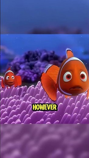 Finding Nemo barracuda detail