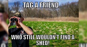 #WhitetailWednesday: 10 Hilarious Shed Hunting Memes That Are All Too True