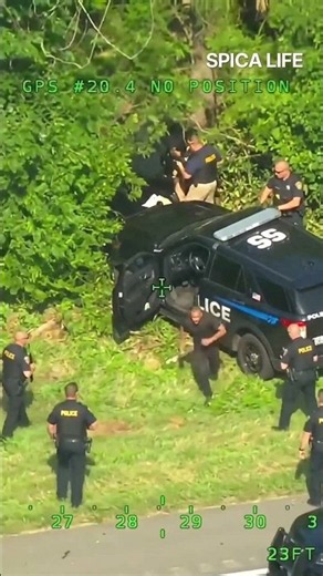 INSANE police chase in the US! 😳