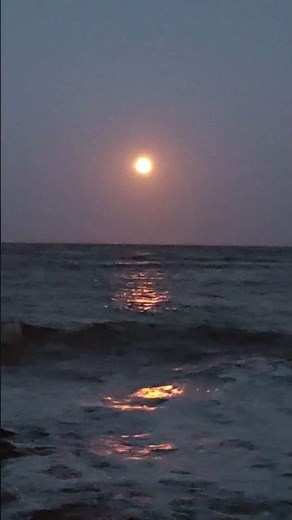 🌕 Full Moon Over the Sea & 🌊 | 4K Relaxing Shorts