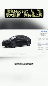 黑色ModelY：从‘邪恶大鼠标’到价格上调