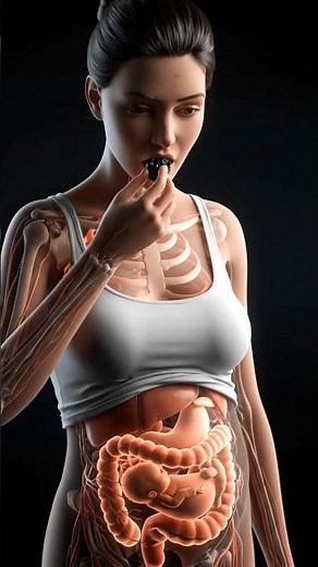 3D Animation of Dried Prunes Digestion | Healthy Digestive Process & Nutrient Breakdown