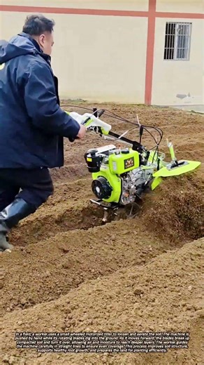 Loosening and Aerating Soil with a Small Wheeled Motorized Tiller in the Field