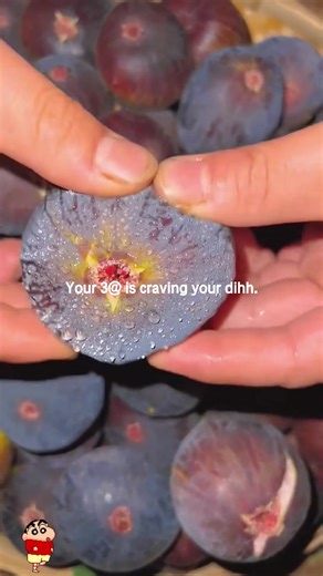 Amazing Fruits You Must Try!