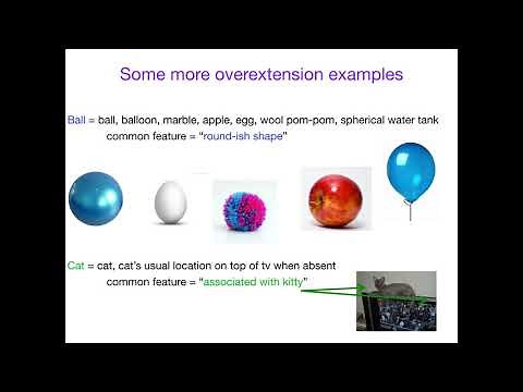 AcqOfLang1: Underextension and Overextension