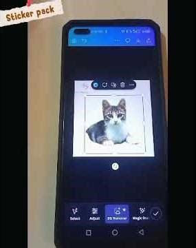 WhatsApp Video 2026 01 25 at 11 31 32 AM