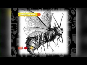 Un robot capaz de mentir, las moscas y más | Difícil de creer