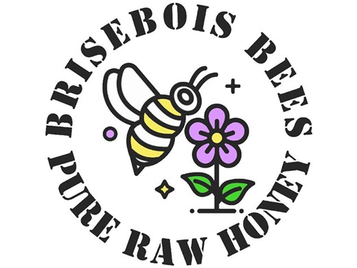 2nd Annual Brisebois Bees Art Box Exhibition Contest | Brisebois Bees