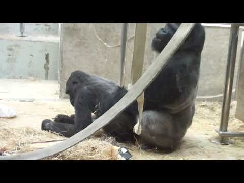 Wilhelma Stuttgart-Bad Cannstatt
