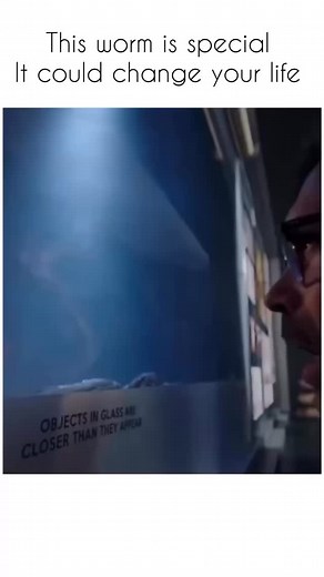 Interestingclips111 on Instagram: "Creepshow is a horror anthology franchise created by Stephen King (writer) and George A. Romero (director). The original film was released in 1982 as a tribute to classic 1950s EC horror comics (Tales from the Crypt, The Vault of Horror). Instead of telling one story, Creepshow presents multiple short horror tales in a single movie/series, each with its own twist ending, dark humor, and comic book-style visuals. ⸻ Creepshow (1982 Film) The movie contains five c