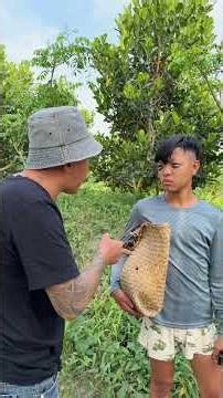 Remember to bring it home! #entertainment #humor #chaomini #westernvietnam #funny #windnet