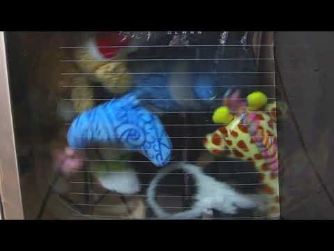 Drying stuffed animals in the dryer - LG Mega Capacity dryer