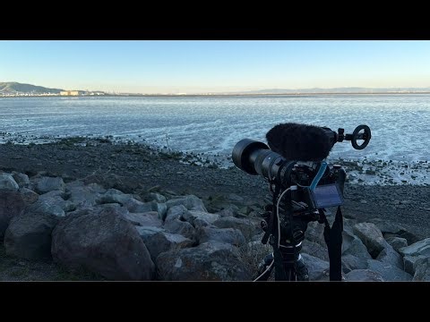 LIVE SFO Evening Stream - San Francisco Airport - Plane Spotting