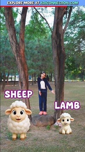 Farm Animal Baby Names 🐑 | English Vocabulary for Kids | Adi Connection AC #shorts