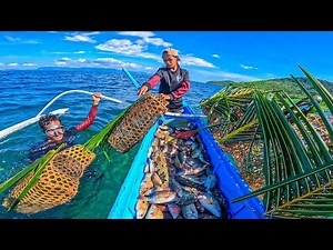 Unbelievable catch: So much fish from tiny traps!