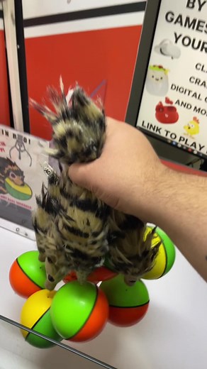 Fun with Weasel Balls at the Arcade