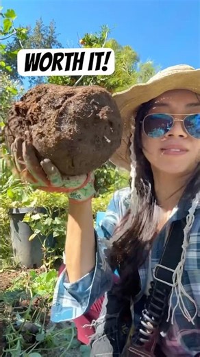 I Came for Bamboo… But Found This Instead #shorts #nature #fail