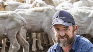‘No-brainer’: How to earn 10 per cent premium on wool
