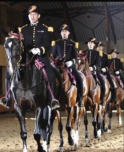 167K views · 5.1K reactions | Honored to witness such incredible precision and tradition on display.  These riders present a stunning example of classical horsemanship—discipline, grace, and teamwork in perfect harmony. Always inspiring to see the power and elegance of a well-trained horse and rider working as one. #Horsemanship #EquestrianDisplay #Tradition #Dressage #RidingExcellence | Hooves, Paws & Hearts | Facebook